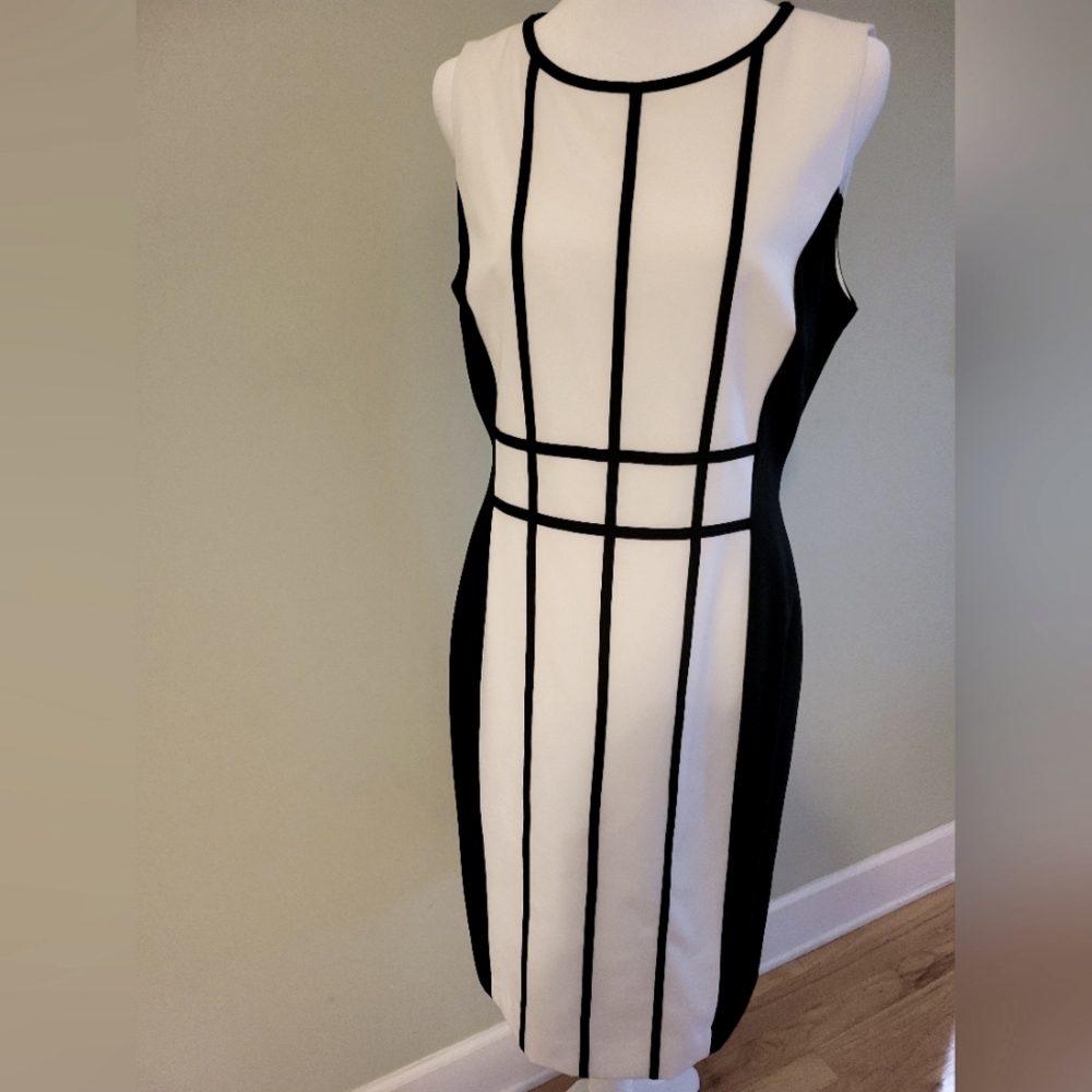 Calvin Klein Black and White Dress
